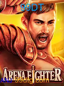 ArenaFighter